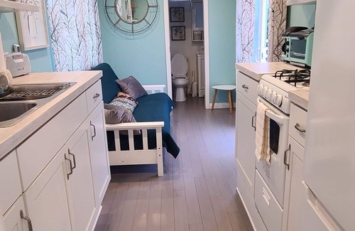 Valley Center Cottage | Tiny Home in Bulldog Paradise with free puppy love ❤️