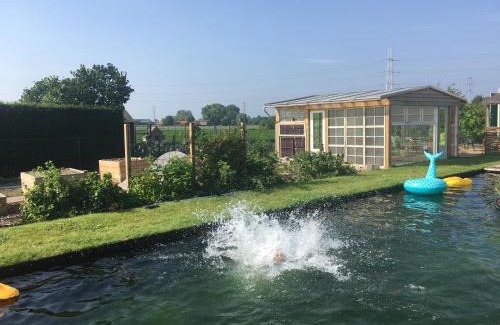 Otegem Other | Tiny house at the ecological swimming pool