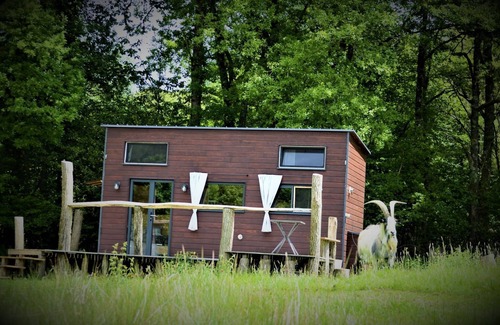 Saint-Bazile House | Tiny House au Bord D'un Étang - Terra Nostra