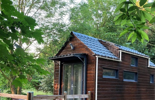 Chanzeaux Cabin | Tiny House au Milieu des Châtaigniers 45 min du Puy du Fou