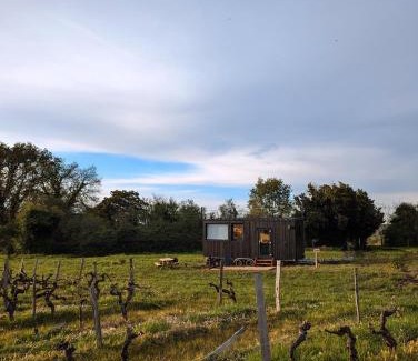 Arbis Cabin | Tiny House au milieu des Vignes