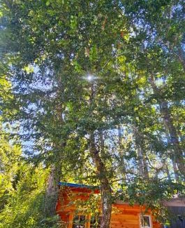 Conaripe House | Tiny house