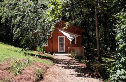 Woodfin House | Tiny House [Fenced in yard, 10mins to Downtown AVL]