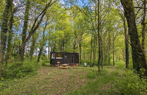Sonchamp Cabin | Tiny House La Clairière Au Cœur de la Forêt !