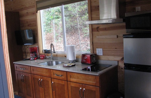 West Jefferson House | Tiny House On Wheels across from New River