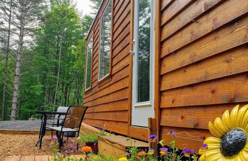 West Jefferson House | Tiny House On Wheels across from New River