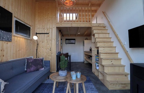 Velsen-Zuid House | Tiny House with sleeping loft with double bed