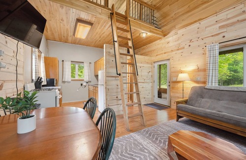 Bigfork Cabin | Tiny house with sleeping loft, full kitchen and 3/4 Bathroom with Sauna! - Pet Friendly!