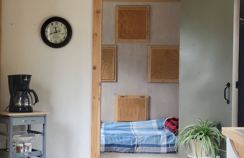 Nakusp House | Tiny House with stunning mountain views, steps from Arrow lake. Pet- friendly!