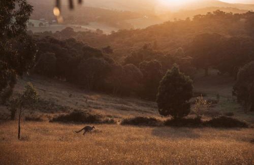 Whittlesea House | Tiny Ikigai