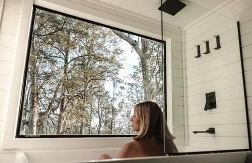 Mount George Cabin | Tiny Zoe Summary: Nes