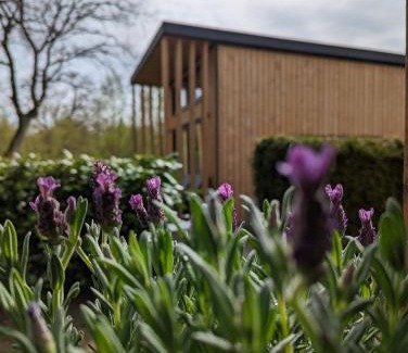 Papenburg House | Tinyhouse Daniel