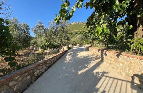 Berzhite House | Titos Countryside Home