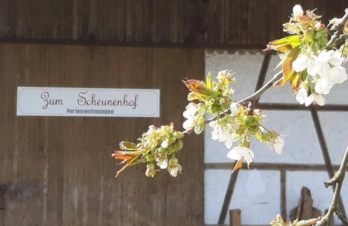 Ichenhausen Apartment | To the Scheunenhof, Rieden ad Kötz