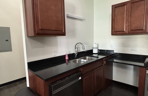 Downtown Toledo Apartment | Toledo Tranquility: Luxe 2-Bed Retreat - Your Perfect Stay Awaits! ADA compliant