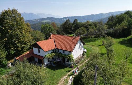 Kambresko Apartment | Tolmin Holiday Home