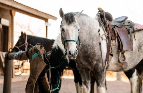 Tombstone Resort | Tombstone Monument Guest Ranch