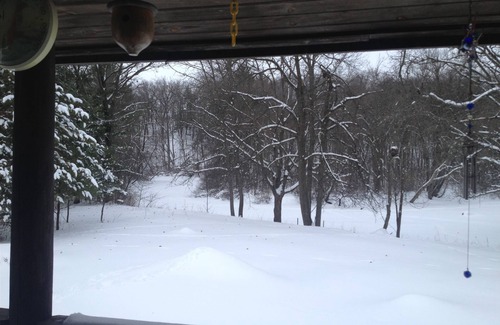 Amherst Cabin | Tomorrow River Ridge Cabin, Private, Cozy and On Water