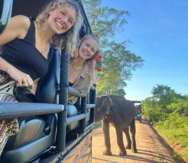 Dambulla Villa | Tomorrow safari villa