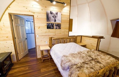 Pleasant Valley Other | Tonzona Igloo: Reindeer Walking Path and Aurora
