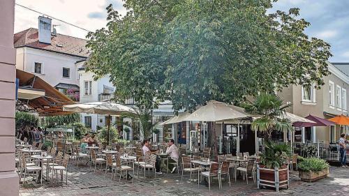 Wiener Neustadt Apartment | Top Appartement für Business-Wohnen-Urlaub