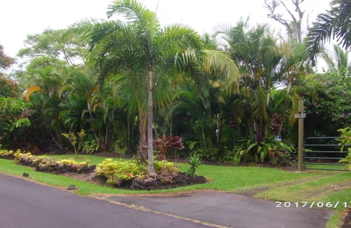 Leilani Estates House | Top Five Rated Vacation Rental In Pahoa , Discounted Rates in November!