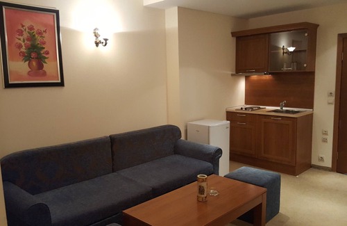 Shiligarnika Apartment | Top Notch Ski Apartment in Bansko just across the Gondola Lift