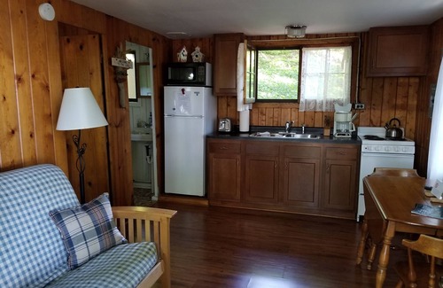 Kewadin Cabin | Torch Lake Cabin Rentals~ Where Cozy Lakefront Cabins meet stunning Torch Lake!