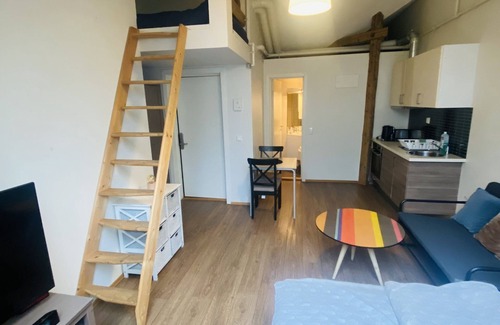 Oslo City Centre Apartment | Torggata Apartments Oslo- Romslig Hel-studio Leilighet Midt i Oslo Sentrum
