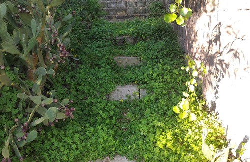 Torre dei Corsari Apartment | Torre dei Corsari holiday home with garden