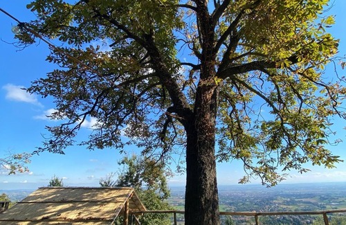Pino Torinese Apartment | Torre di Montosolo, a refuge surrounded by greenery 10 km from the center of Turin