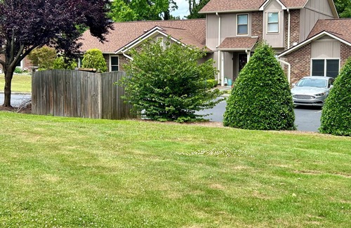 Greenville House | Totally Renovated Greenville Townhome - Pirate Fans & Monthly Renters Welcome!