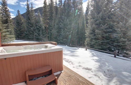 Keystone House | Townhome with Private Hot Tub, Garage and W/D and Private Grill!