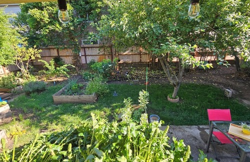 Ukiah Apartment | tQuiet Garden Hideaway in Ukiah – 1BR Back Unit