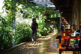 Tuy Hoa House | Trại Hoa Vàng Homestay at Phú Yên