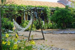 Tuy Hoa House | Trại Hoa Vàng Homestay at Phú Yên
