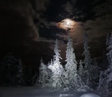 Kroderen Ski Chalet | Traditional cabin at Norefjell