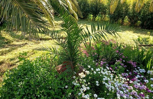 Skala Kallonis Apartment | TRADITIONAL STUDIOS IN NATURE'S BEAUTY, FOR RELAXING FAMILY HOLIDAYS