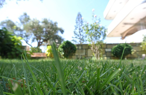 Korfalonas Apartment | Traditional Villa with Apartements in Olive Grove