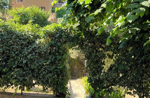 Cauro House | Traditional village house, 15 minutes from the beach.