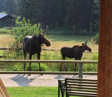 Wilson House | Trail Creek Ranch
