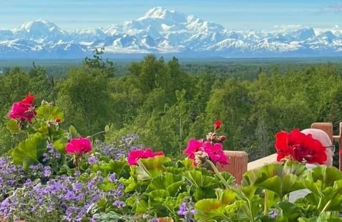 Susitna North House | Trail House, Denali Brewing, Base Camp for Adventure, Concerts, Fire Pit, Family