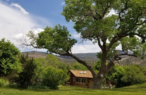 Spanish Valley Cabin | Trail's End - Accommodates up to 4 and is pet friendly