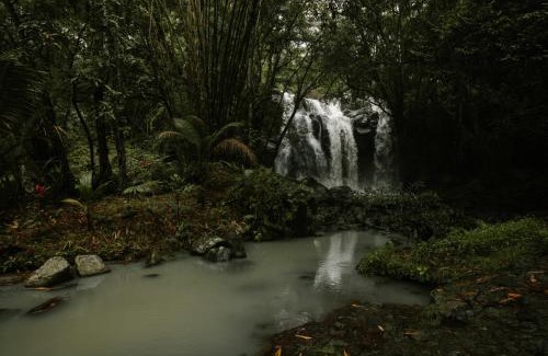 Selemadeg Villa | Trails, waterfalls & chill in private jungle lodge