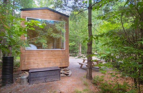 Dorchester Apartment | Trailside Stays - Tiny House in the Woods-Escape to Nature. Robin