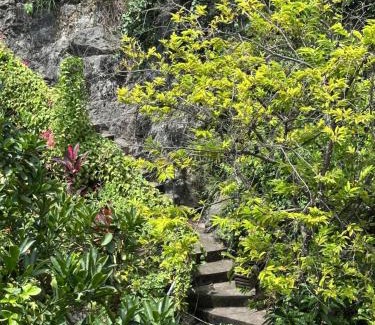 Hoa Lu House | Trang An ViewPoint Homestay
