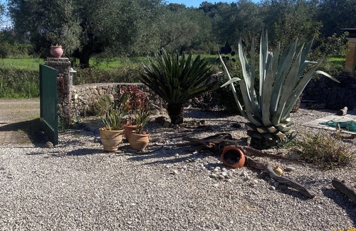 Agios Ioannis Villa | Tranquil retreat set in an old Olive grove