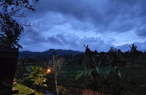 Sukasada Other | Tranquil Riverside Camping