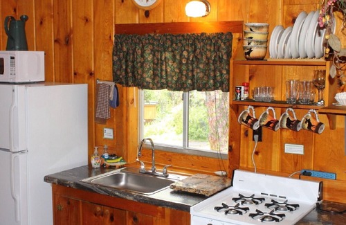 Estes Park Cabin | Tranquil Solitude Cabin - Spectacular Views, Cozy Comfort