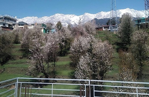 Naddi Bed & Breakfast | Tranquil trails Naddi Mountain view